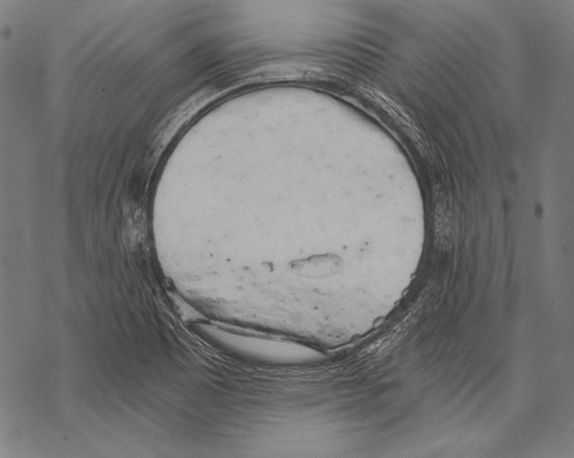 X0000068751465200605191546