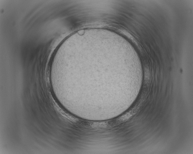 X0000068751466200605191546