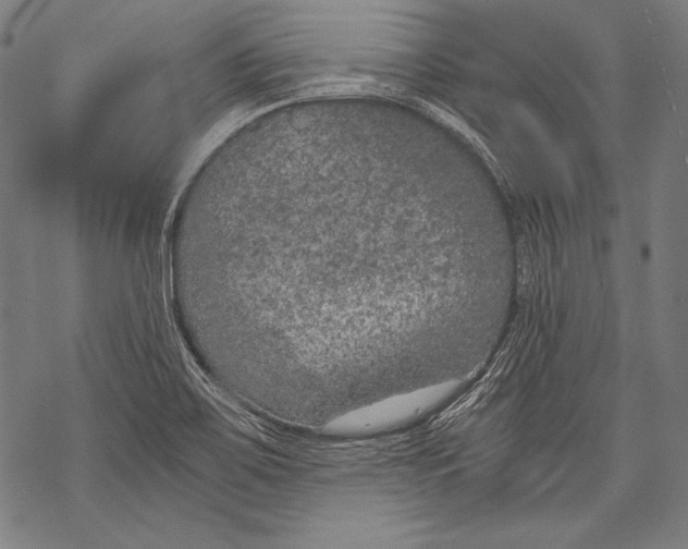 X0000068751467200605191546