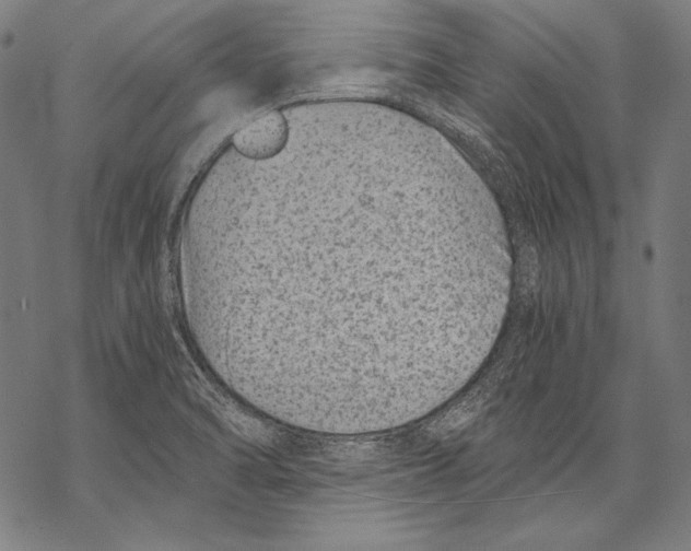 X0000068751470200605191546