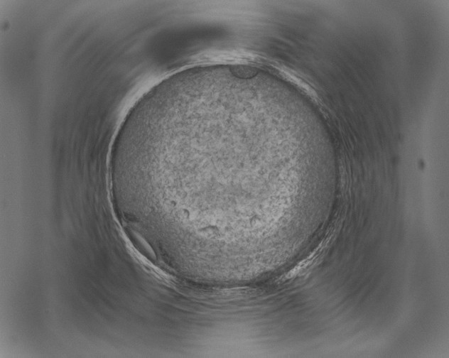 X0000068751471200605191546