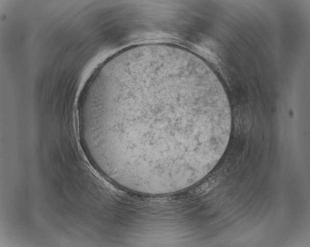 X0000068751472200605191546