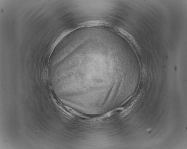 X0000068751473200605191546