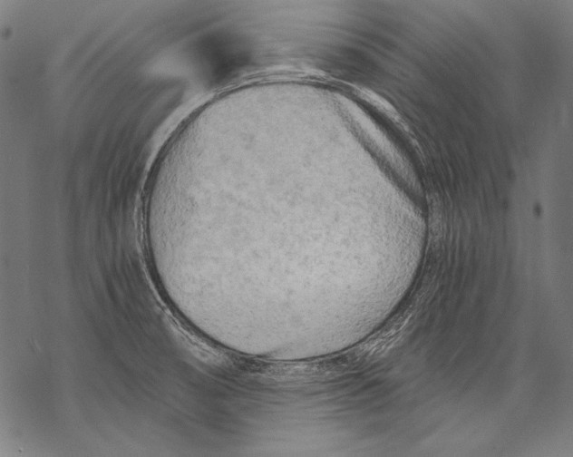 X0000068751474200605191546