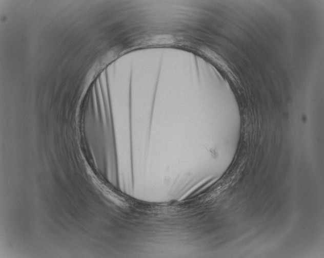 X0000068751475200605191546