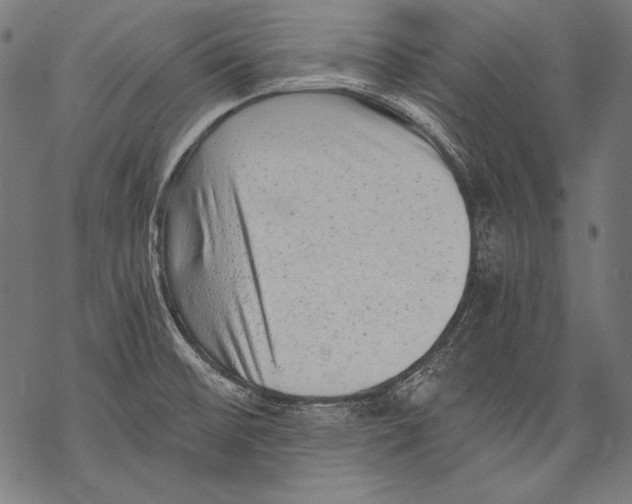 X0000068751476200605191546