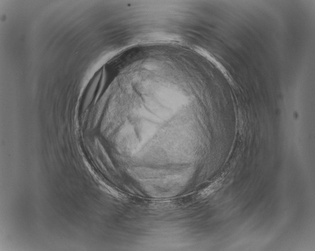 X0000068751477200605191546