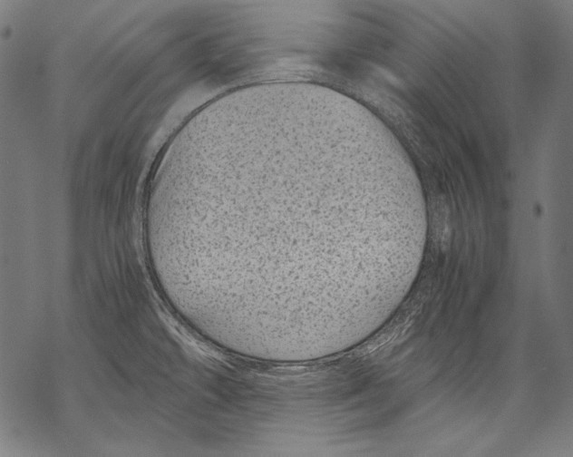 X0000068751478200605191546