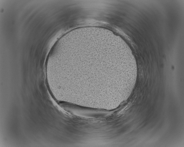 X0000068751479200605191546