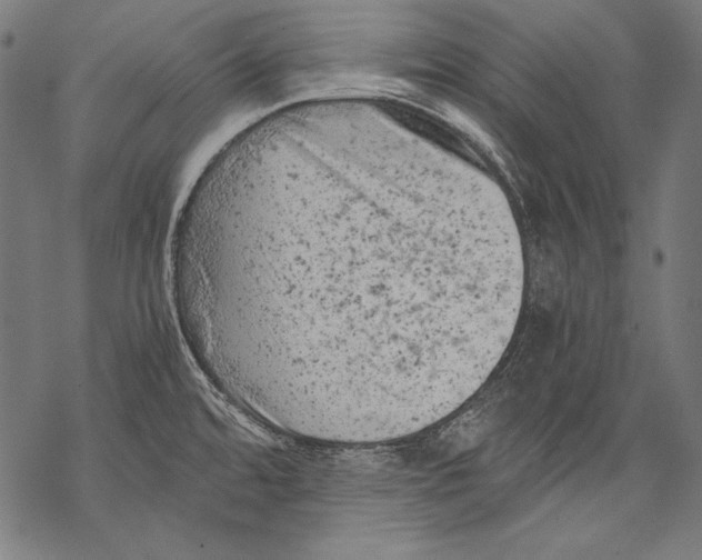 X0000068751480200605191546