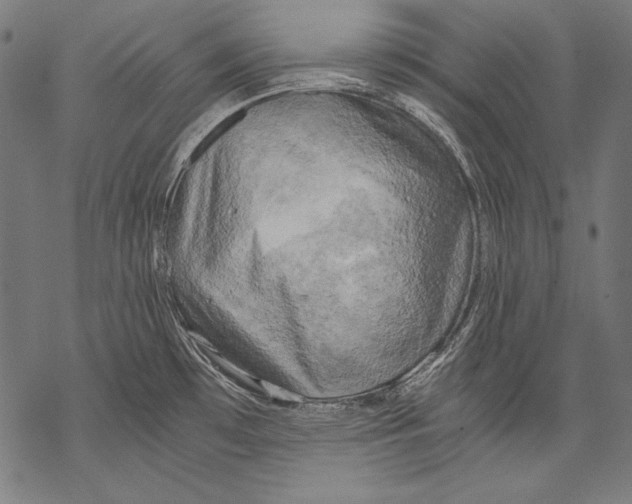 X0000068751481200605191546