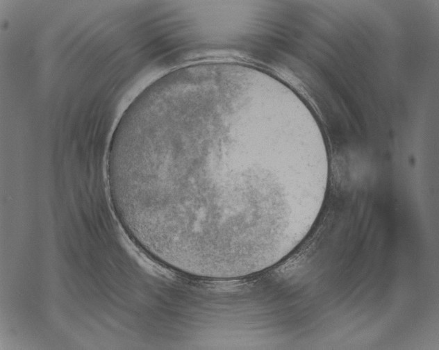 X0000068751482200605191546