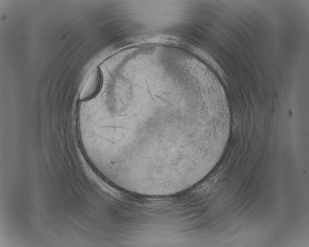 X0000068751483200605191546