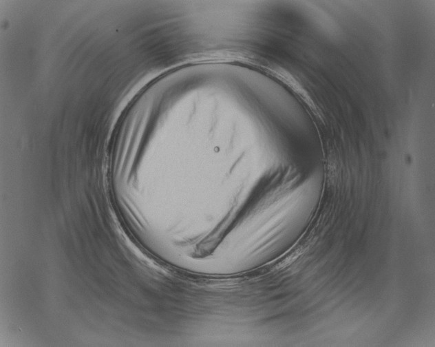 X0000068751484200605191546