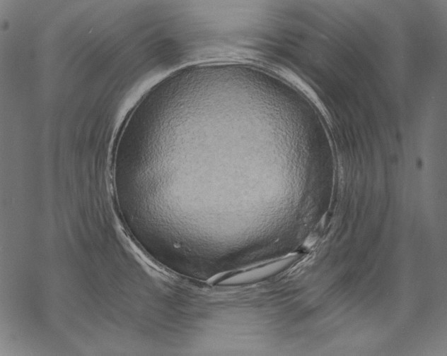 X0000068751485200605191546