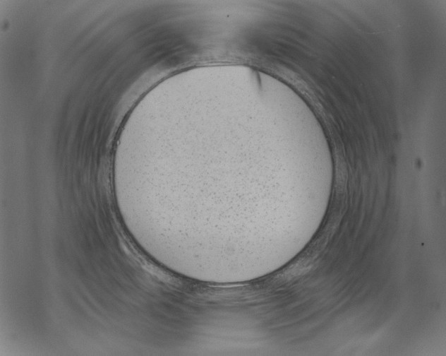 X0000068751486200605191546