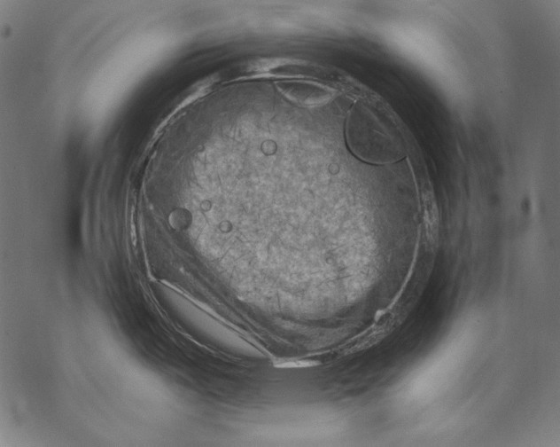 X0000068751487200605191546