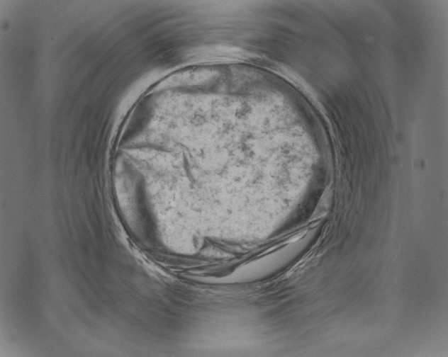 X0000068751488200605191546