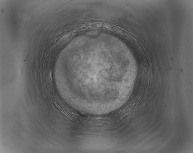 X0000068751489200605191545