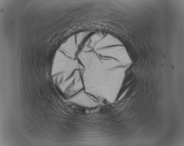 X0000068751490200605191545