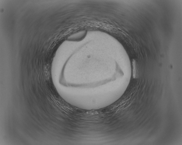 X0000068751491200605191545