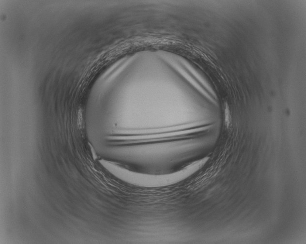 X0000068751492200605191545