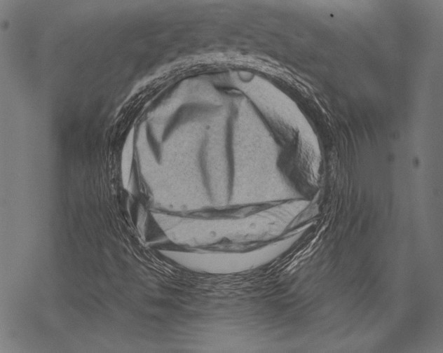 X0000068751494200605191545