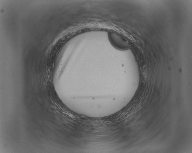 X0000068751495200605191545