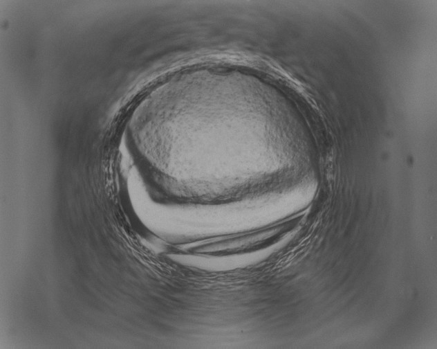 X0000068751496200605191545