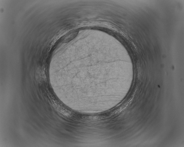 X0000068751497200605191545