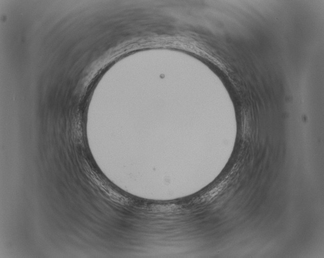 X0000068751498200605191545