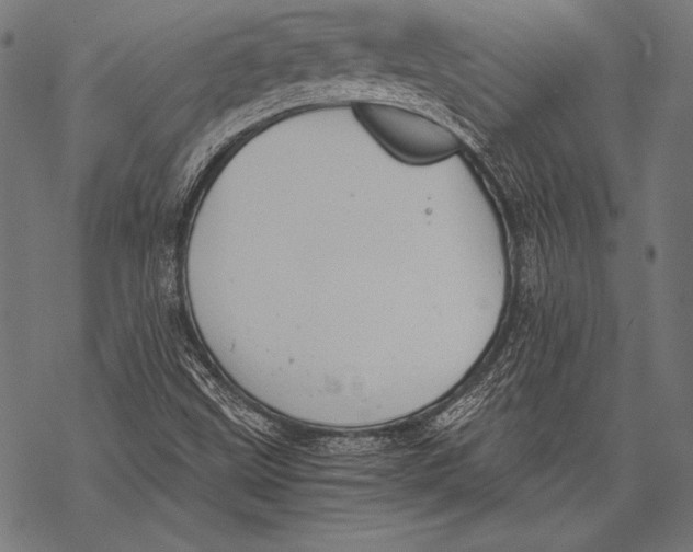 X0000068751499200605191545