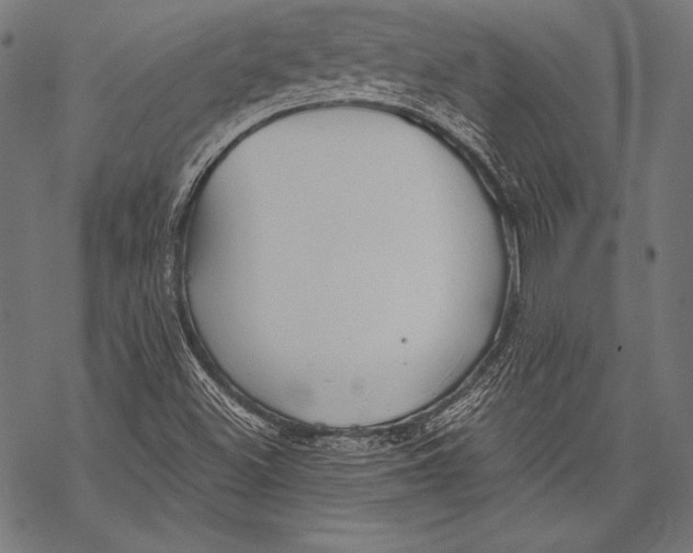 X0000068751500200605191545