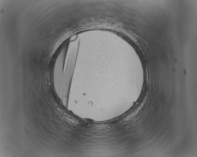 X0000068751501200605191545