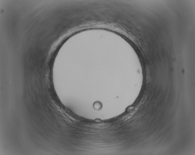 X0000068751502200605191545