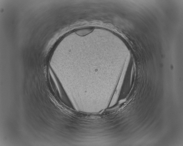 X0000068751503200605191545