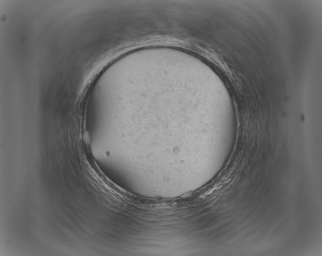 X0000068751504200605191545