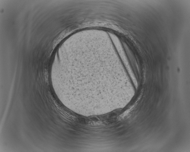 X0000068751505200605191545