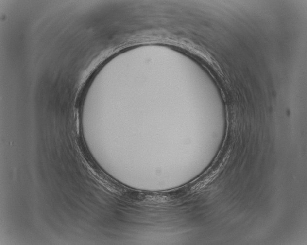 X0000068751509200605191545