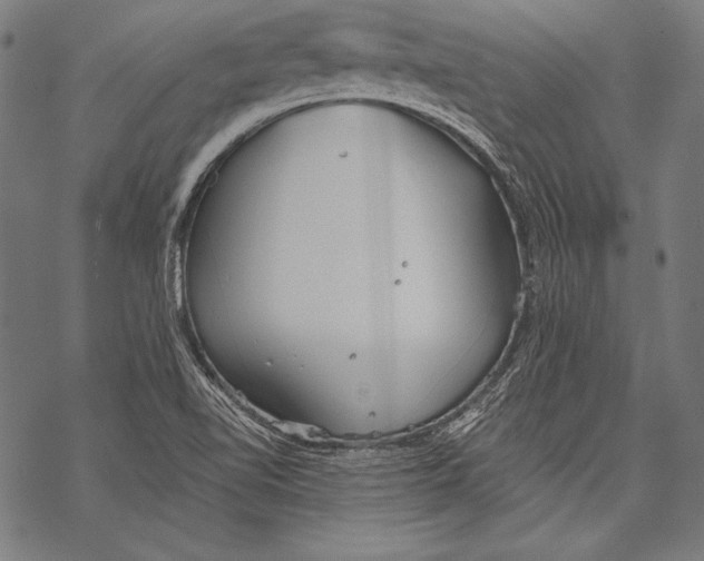 X0000068751510200605191545