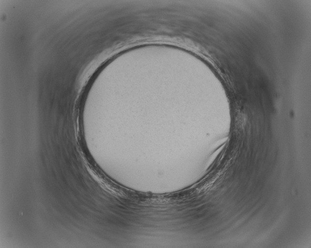 X0000068751511200605191545