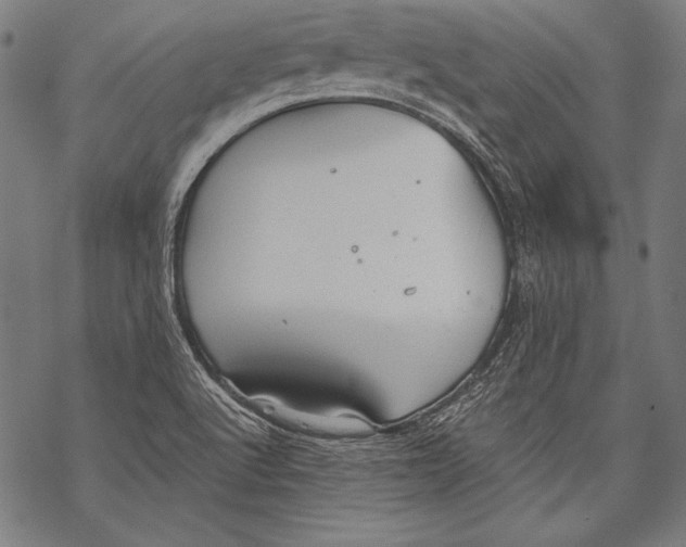 X0000068751512200605191545