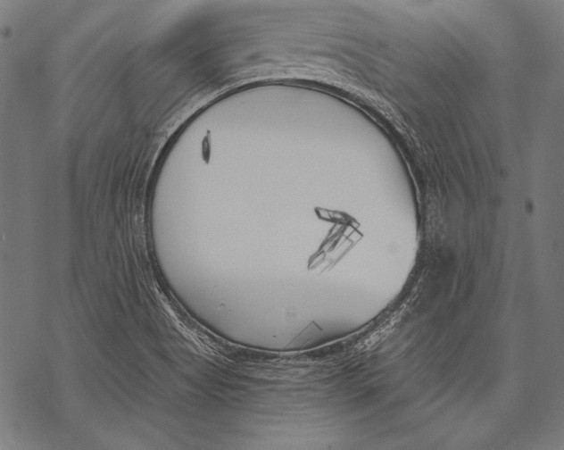 X0000068751513200605191545