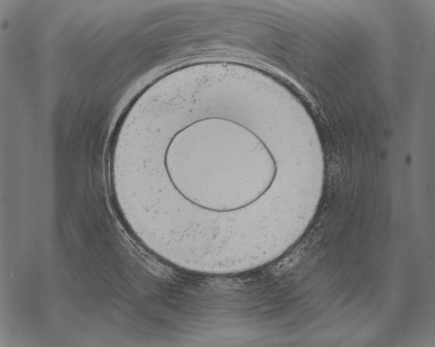 X0000068751514200605191545