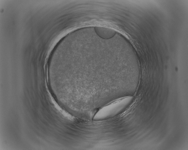 X0000068751515200605191545