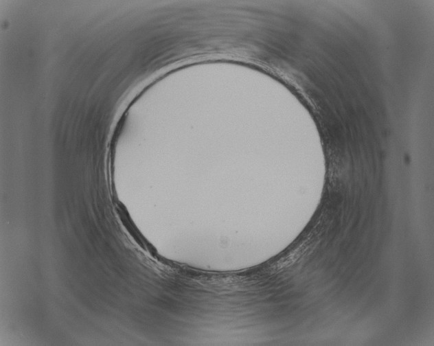 X0000068751516200605191546