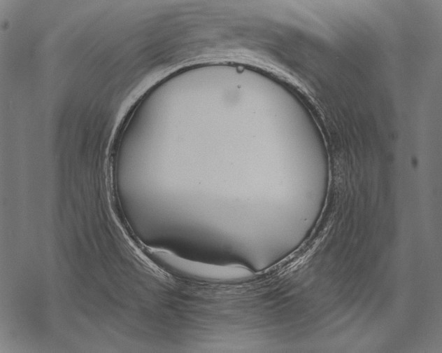 X0000068751517200605191546