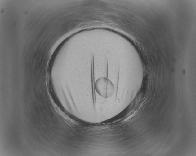 X0000068751518200605191546