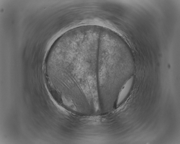 X0000068751519200605191546