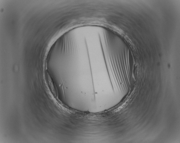 X0000068751520200605191546